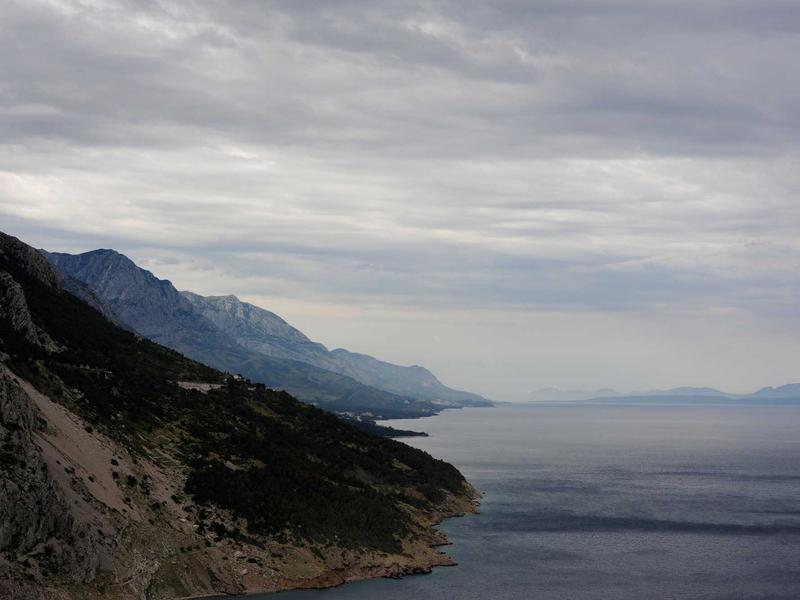 北京胡同<br>ljvwvuu.cn 四合院槐树